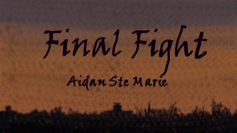 image of a title scene saying 'Final Fight' by 'Aidan Ste Marie'